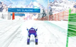 Slalom Hero